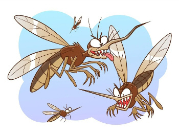 Invasion de moustiques